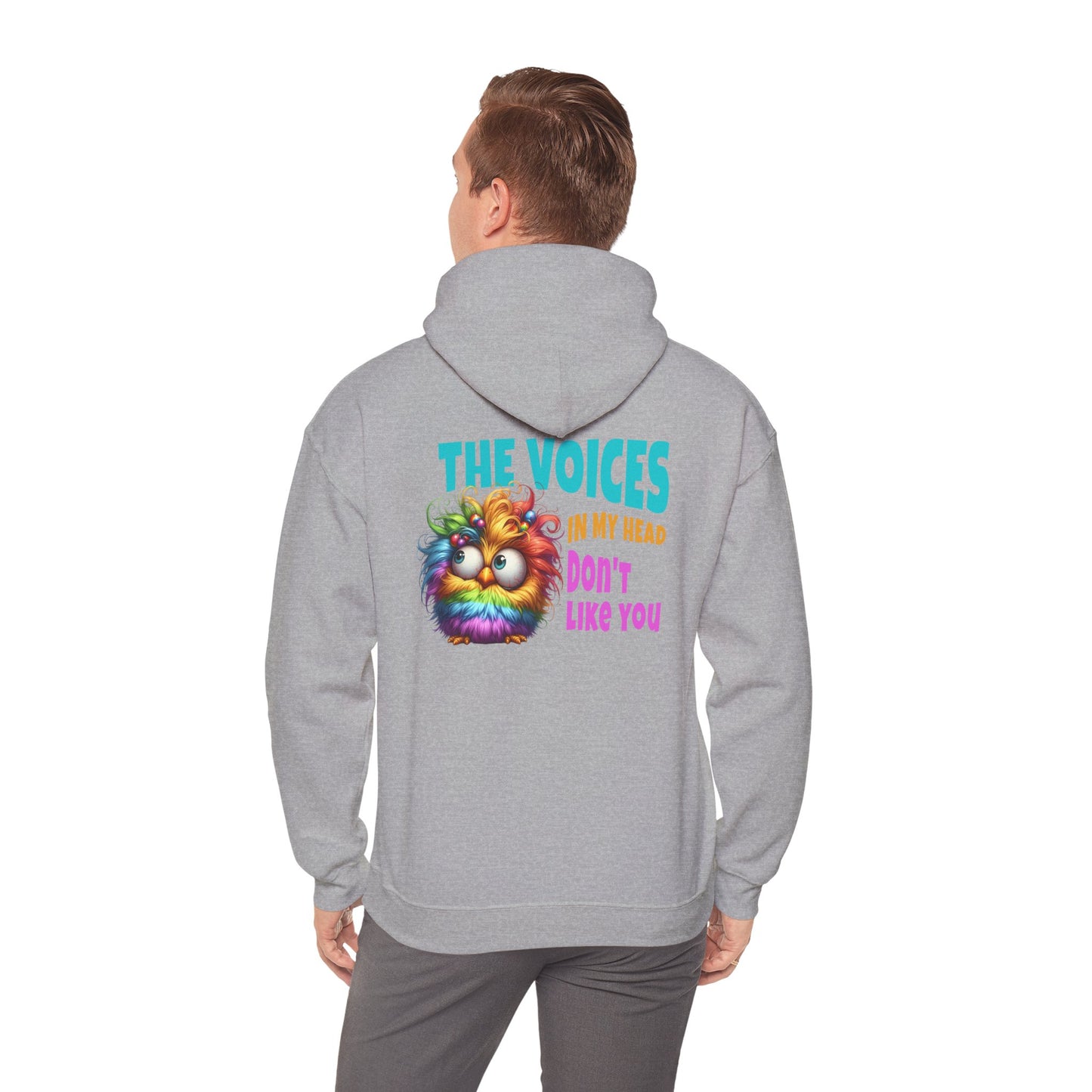 The Voices in My Head Don’t Like You – Funny Rainbow Chick Hoodie