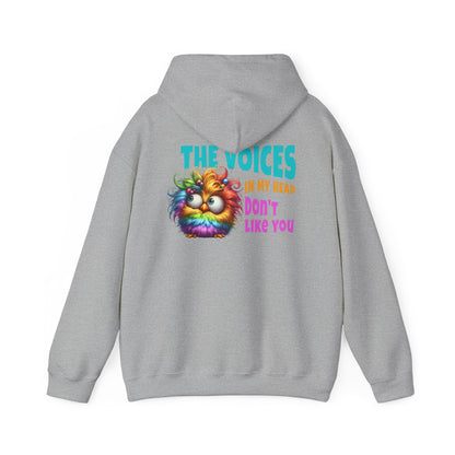 The Voices in My Head Don’t Like You – Funny Rainbow Chick Hoodie