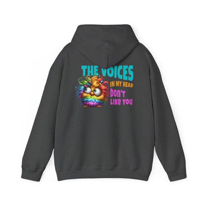 The Voices in My Head Don’t Like You – Funny Rainbow Chick Hoodie
