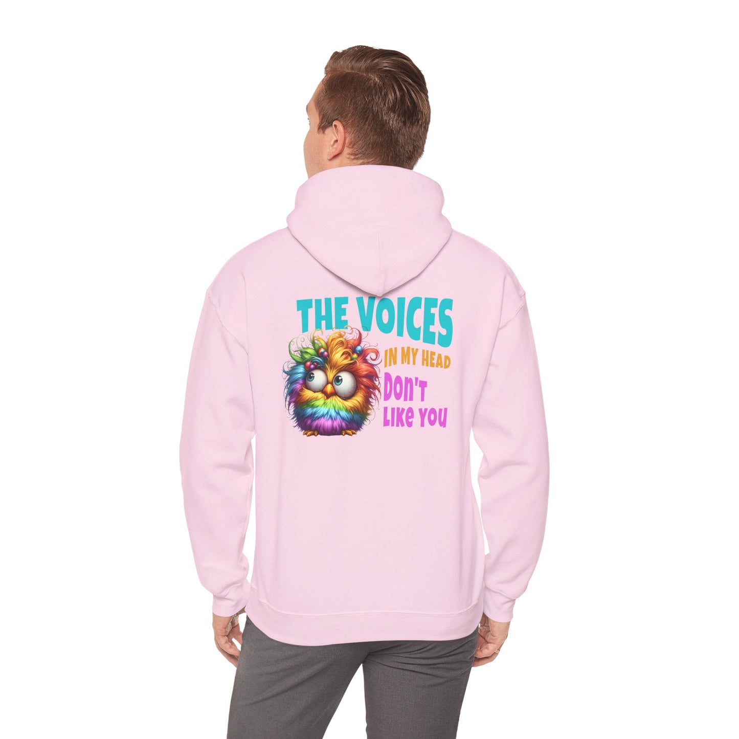 The Voices in My Head Don’t Like You – Funny Rainbow Chick Hoodie